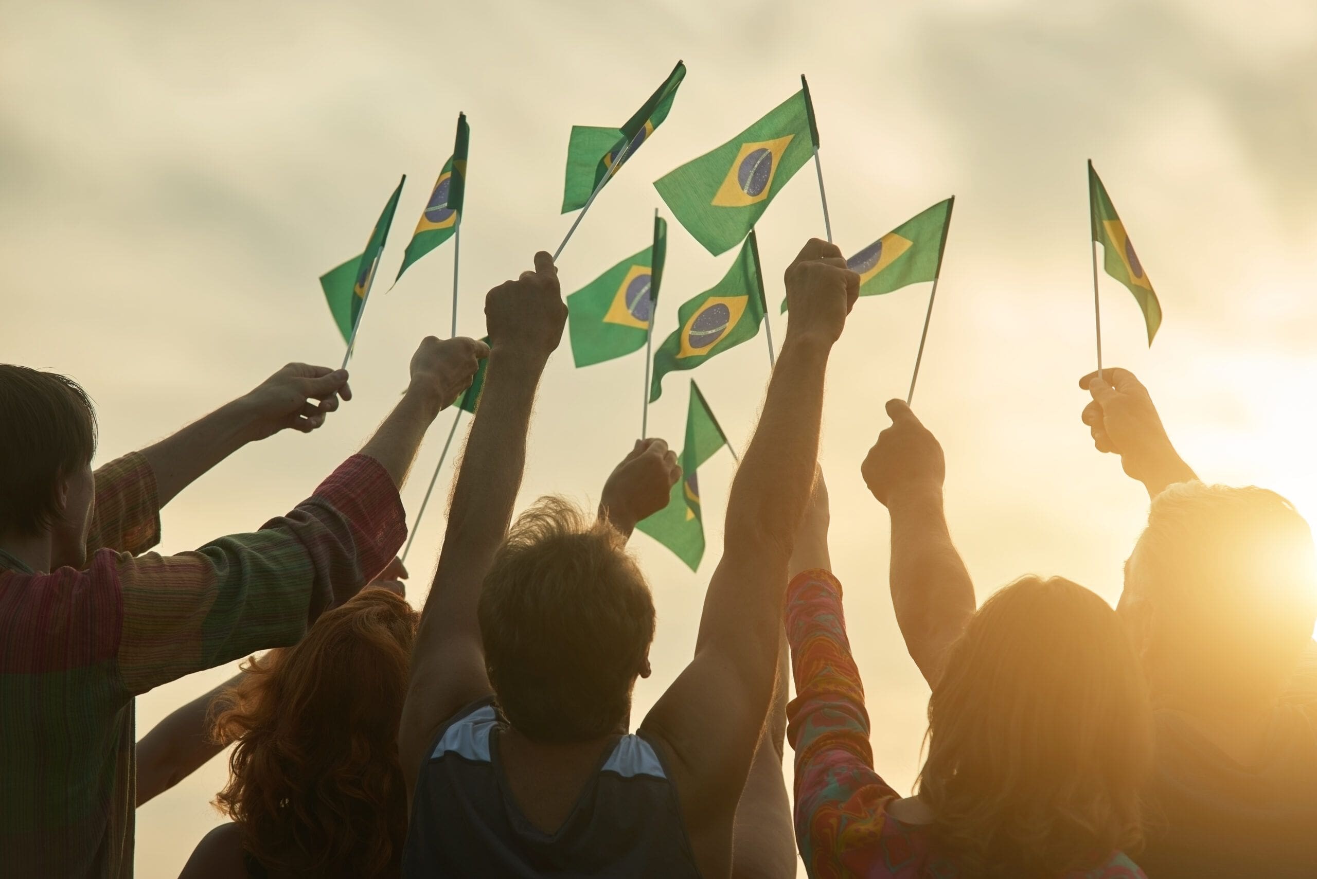 Widening Democracy: Citizens and Participatory Schemes in Brazil