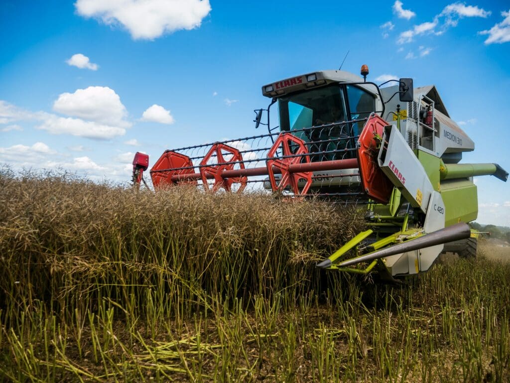 British farmers want basic income to cope with post-Brexit struggles